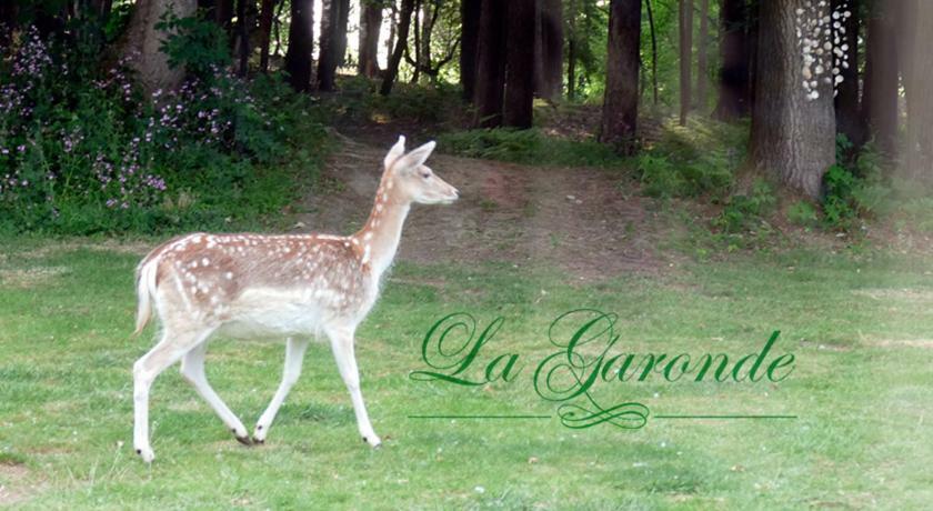 La Garonde Bed and Breakfast Boeschepe Eksteriør billede